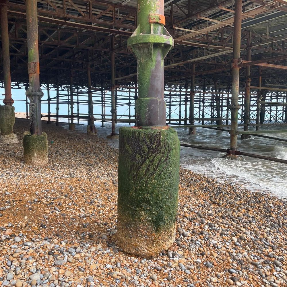 The underside of Hastings pier (all girders and struts) close up on one of the concrete supports covered with green seaweed.