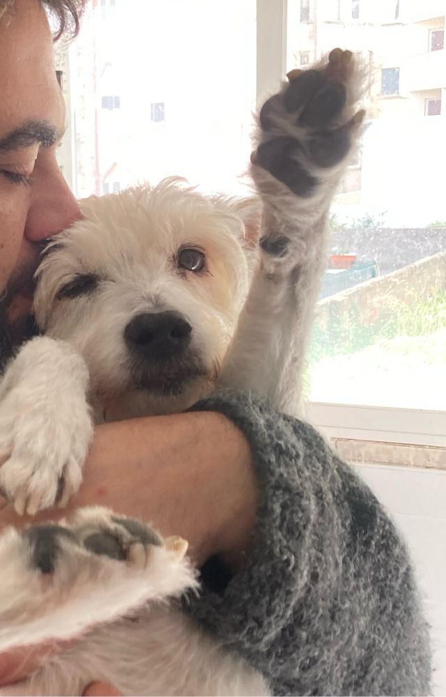 the same dog but now being held and kissed, and very peacefully winking one eye and holding up his paws