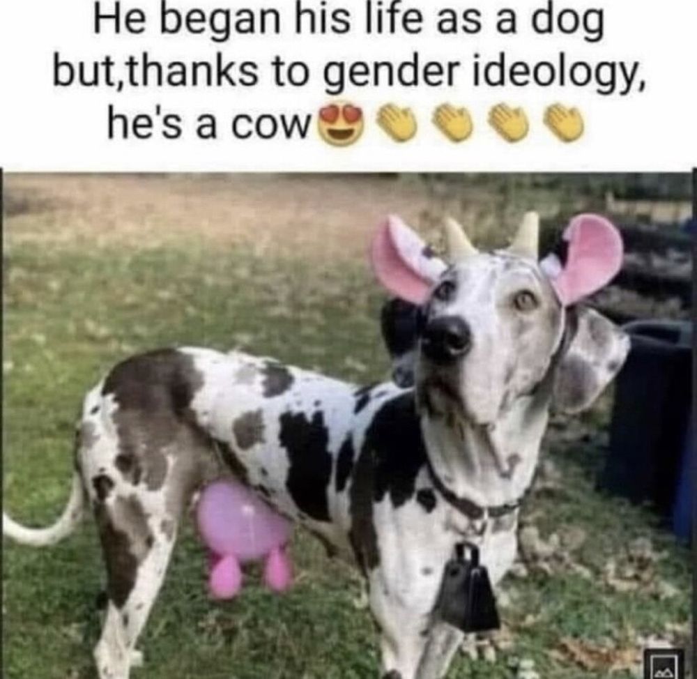 Comment image