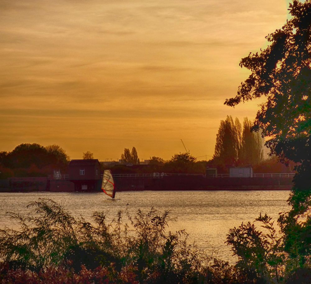 A windsurfer against a golden sky, with greenery in the foreground.