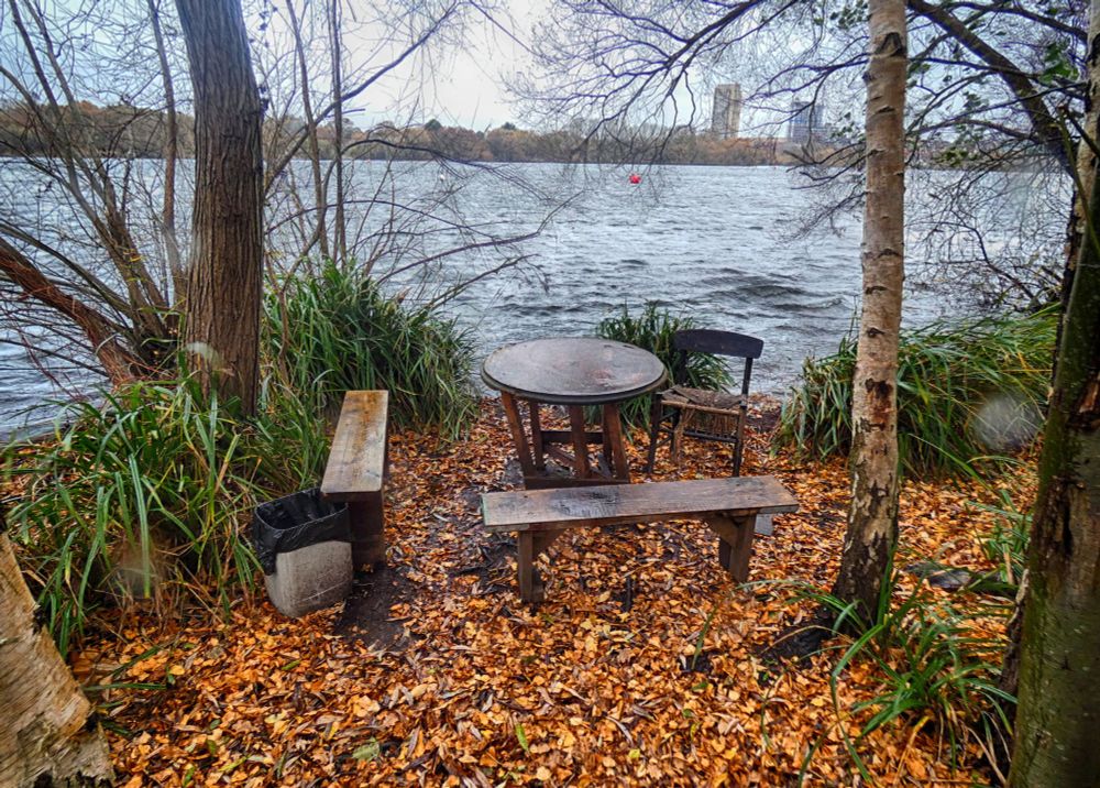Next to a large body of water, amid trees, plants and fallen leaves sit a table, two benches, a chair and a bin.