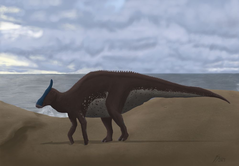 
Male Augustynolophus morrisi, wondering around the cloudy coastlines of Prehistoric California