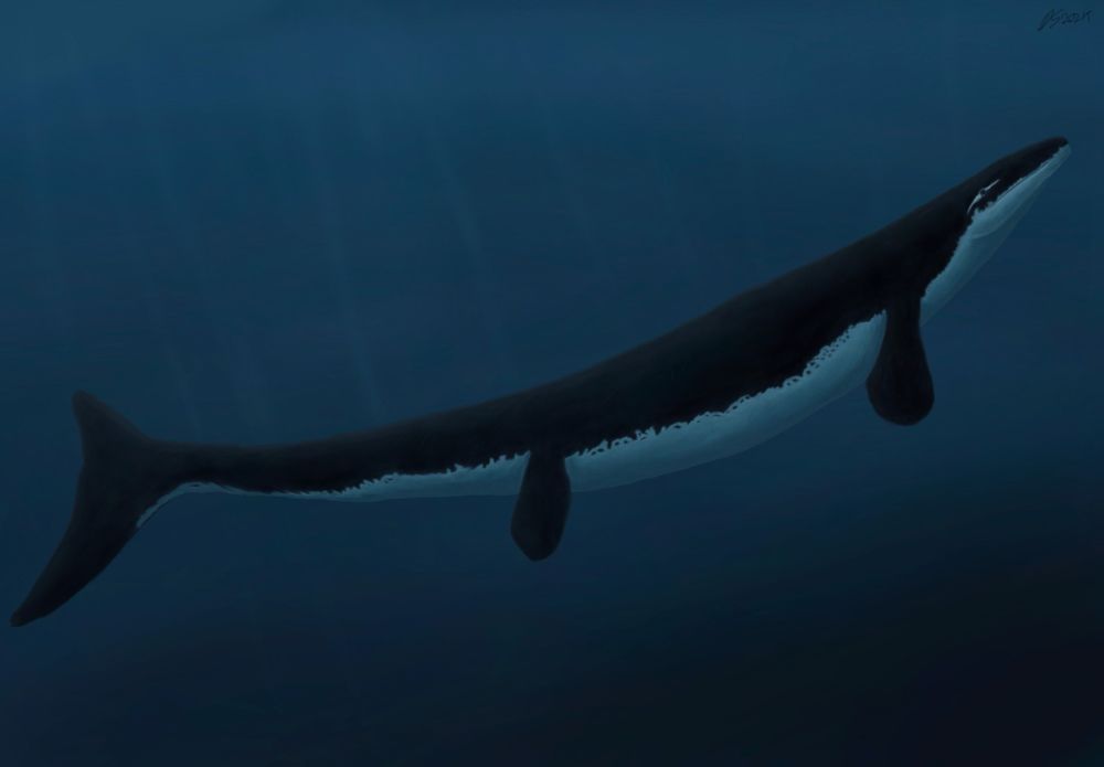 Tylosaurus proriger, my personal favorite so far. 