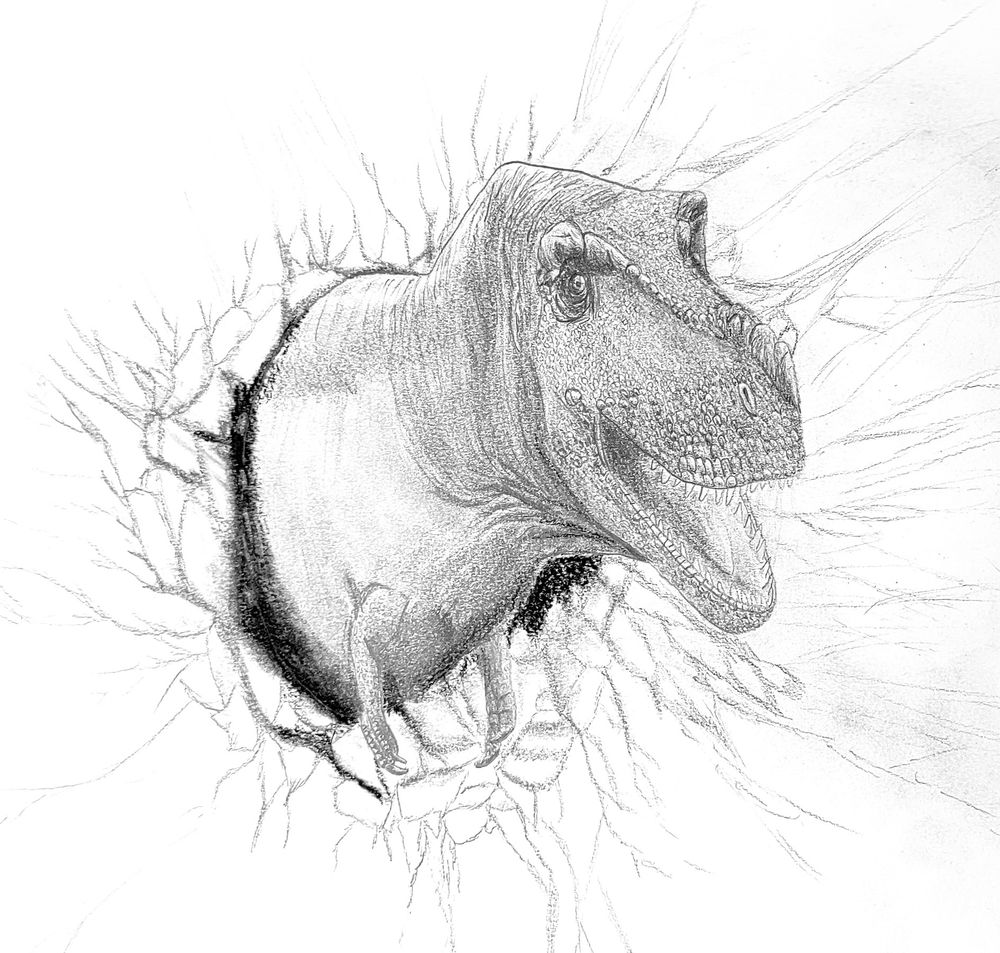 Pencil sketch of Tyrannosaurus rex (T.rex)  breaking through a wall. 