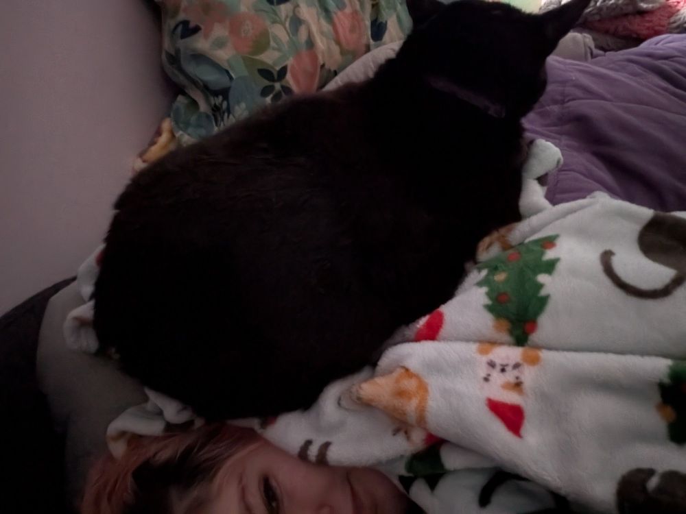 A somewhat dark and blurry selfie wherein you can partly see me laying on my side in bed, with the silhouette of a black cat loafing on top of my shoulder and head. 