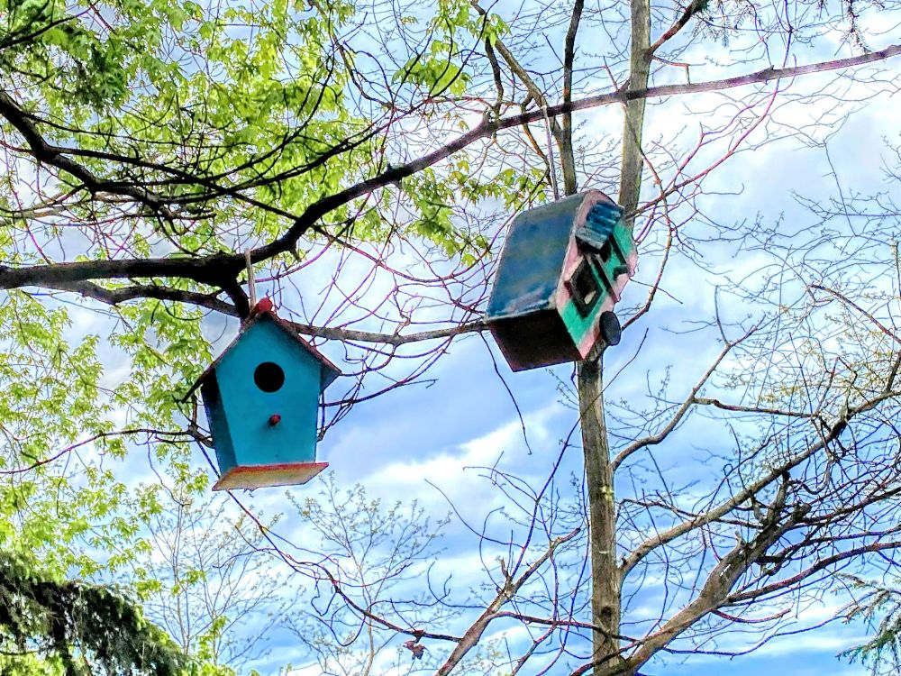 Brightly painted birdhouse and a miniature camper van hanging from the branches of a tree. 