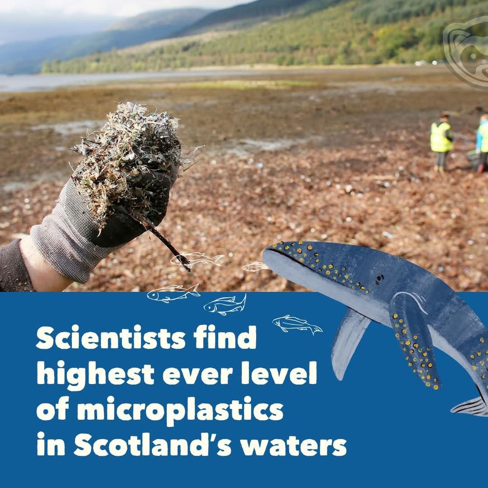 Image from The Ferret 
"Scientists find highest ever level of microplastics in Scottish waters"