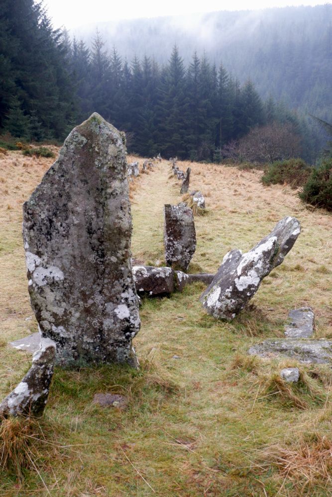 Assycombe stone row - Dartmoor