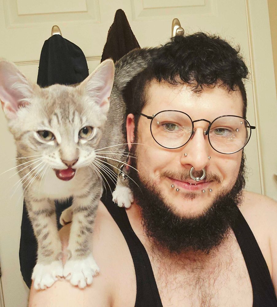 A white non-binary trans masculine persons taking a selfie, they have a light grey tabby kitten on their left shoulder. StrangeDynasty is smiling at the camera, and the kitten's mouth is open in a small meow. Their hair is a dark blue-black, with the sides and back shaved down, and the top about one inch long and shaggy, with the fringe on their forehead. They have a matching beard, mustache, and little patch below their bottom lip. They have many piercings: one inch silver tunnels with two gauge captive ear weights in them, double snakebites, both nostrils, both eyebrows, and a stretched septum - all in silver. They are wearing a black tank top.