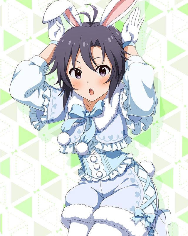 Ears and Tails Series, MLTD