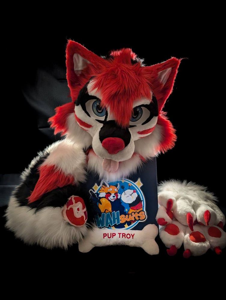 Fursuit of a Husky with head, handpaws and tail