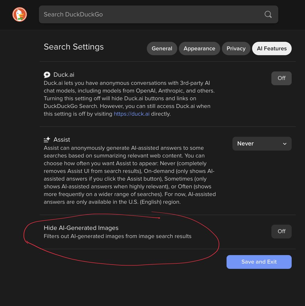 A screenshot of DuckDuckGo’s AI assistant settings. The circled section reads “Hide AI-generated images. Filters out Ai-Generated images from image search results”
