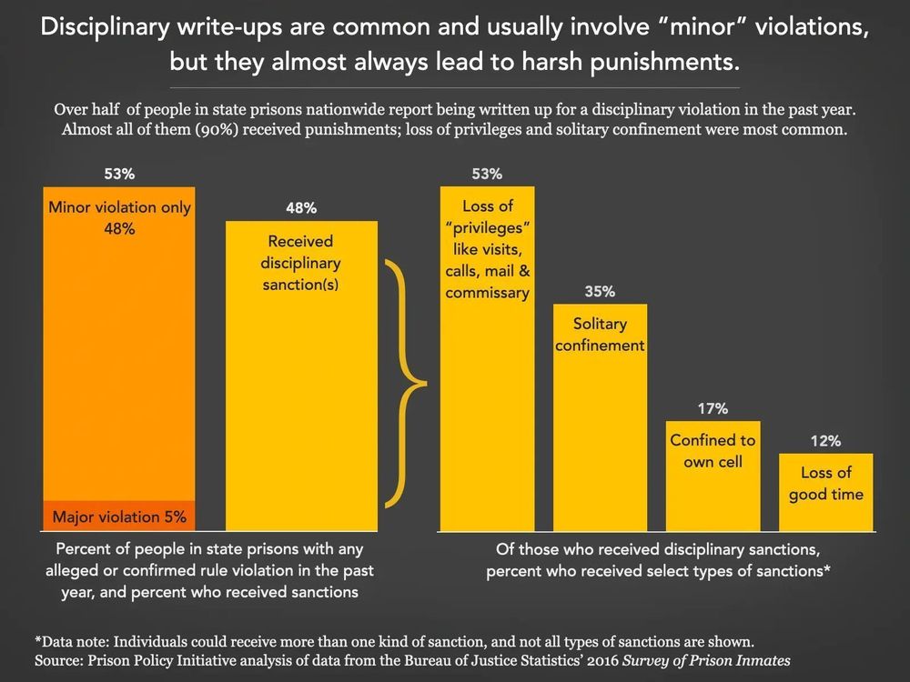 Graph titled: Disciplinary write-ups are common and usually involve "minor" violations, but they almost always lead to harsh punishments