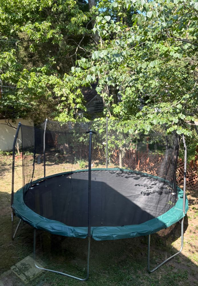 A large trampoline amidst the trees in my yard.