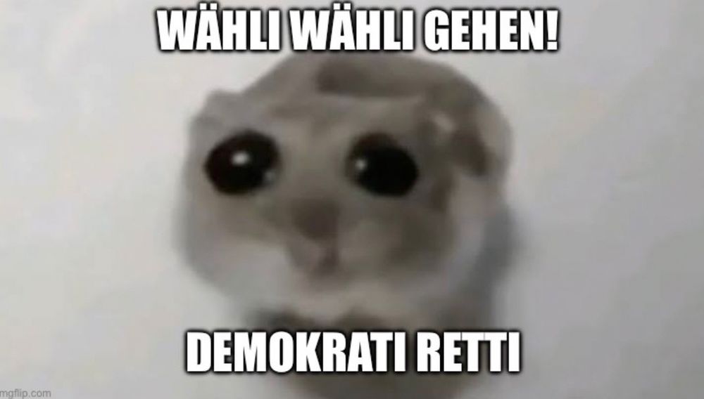 Ein kleiner grauer zwerghamster schaut mit übertrieben großen Augen in die Kamera. Dazu der Text: wähli wähli gehen! Demokrati retti