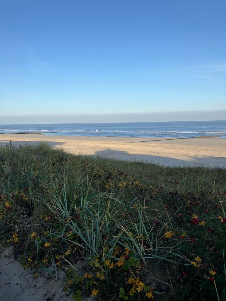 Strandansicht von Wangerooge