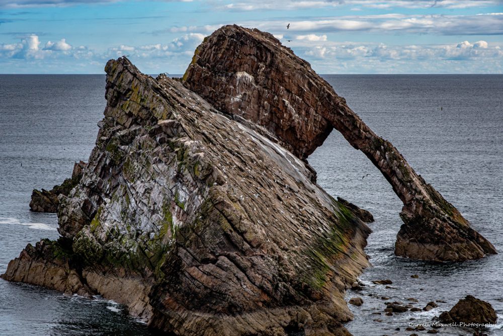 The gulls certainly seem to have laid claim to the sea arch. One can almost hear them all screaming, "MINE, MINE, MINE."