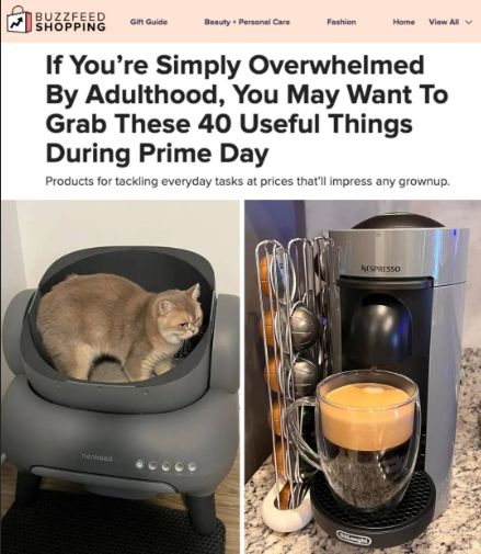 buzzfeed shopping says if you're simply overwhelmed by adulthood you may want to grab these 40 useful things during prime day. subtitle: products for tackling everyday tasks at prices that'll impress any grownup. images show brownish cat atop gray litterbox thing then second photo of gray nespresso thing with coffee that foams in light brown.