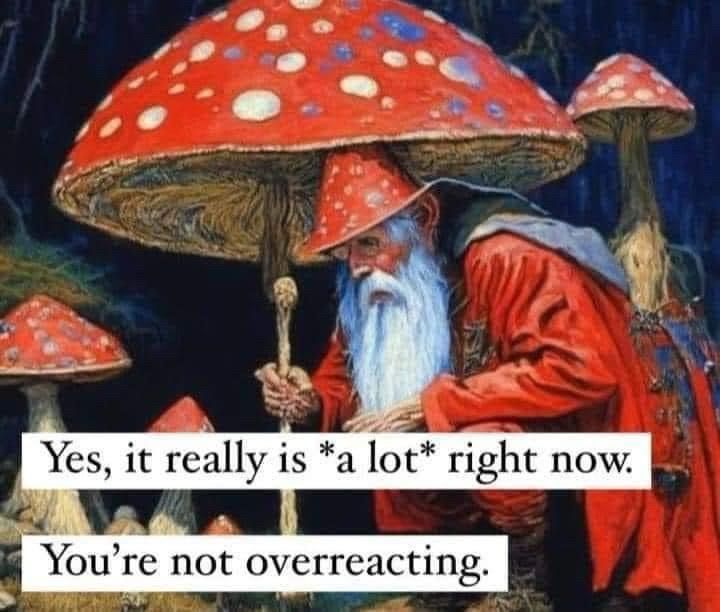 Wizard under a mushroom with the words Yes, it really is a lot right now. You’re not overreacting.