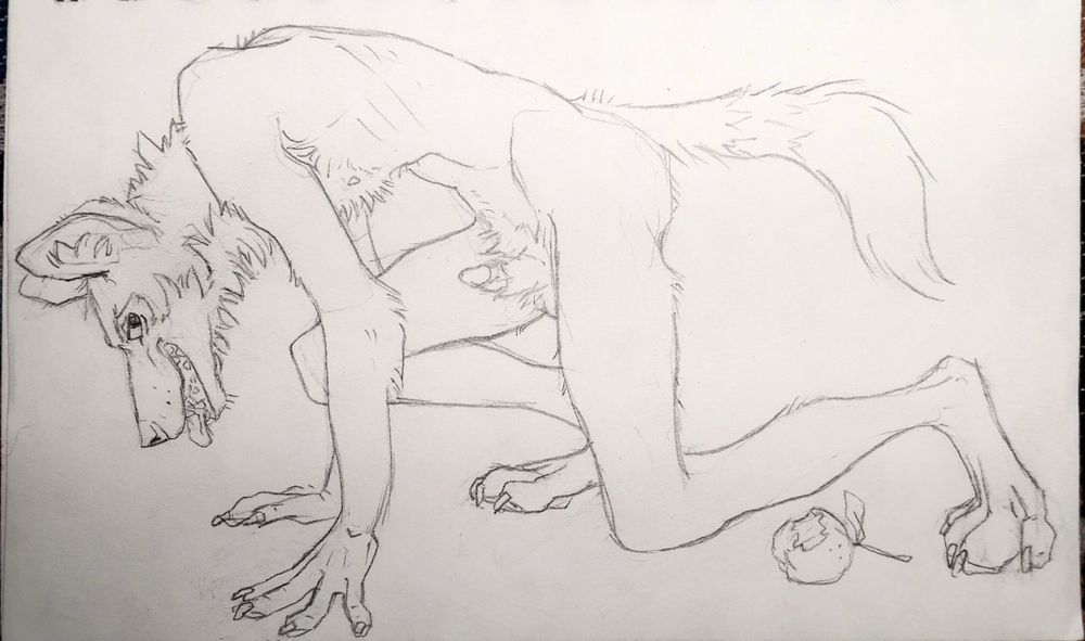 Drawing of a anthro African wild dog on all fours in a provocative pose, an apple with a bite taken out of it is resting nearby on the ground. 