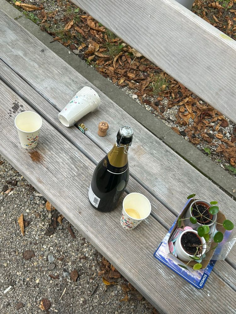 Eine Bank, auf der eine Flasche Sekt, zwei Pappbecher, ein Buch und zwei pflanzenableger platziert sind