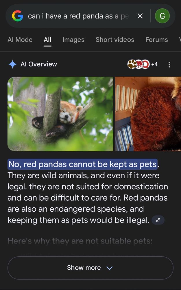 google search for Can i have a red panda as a pet, with a highlighted AI response “No, red pandas cannot be kept as pets.”