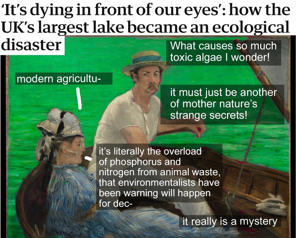 a headline that reads "'It's dying in front of our eyes': how the UK's largest lake became an an ecological disaster" accompanied by a picture of the old painting of a man and a woman in a boat called "Boating" by Edouard Manet, that has been doctored so that the water is bright green and the man is saying "What causes so much toxic algae wonder!" and the woman tries to reply "modern agriculture" cut off by him saying " it must just be another of mother nature's strange secrets!" and she tries to say "it's literally the overload of phosphorus and nitrogen from animal waste, that environmentalists have been warning will happen for decades" but is interrupted by him saying "it really is a mystery"