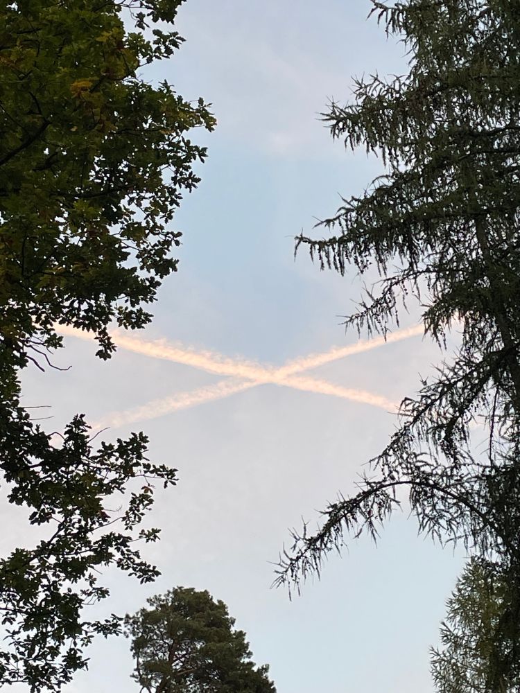 Foto aufgenommen aufgenommen auf einem Waldweg. Der Blick geht nach oben in den blauen Himmel, zwei Flugzeuge haben durch Kondensstreifen ein weißes X in den Himmel gemalt.