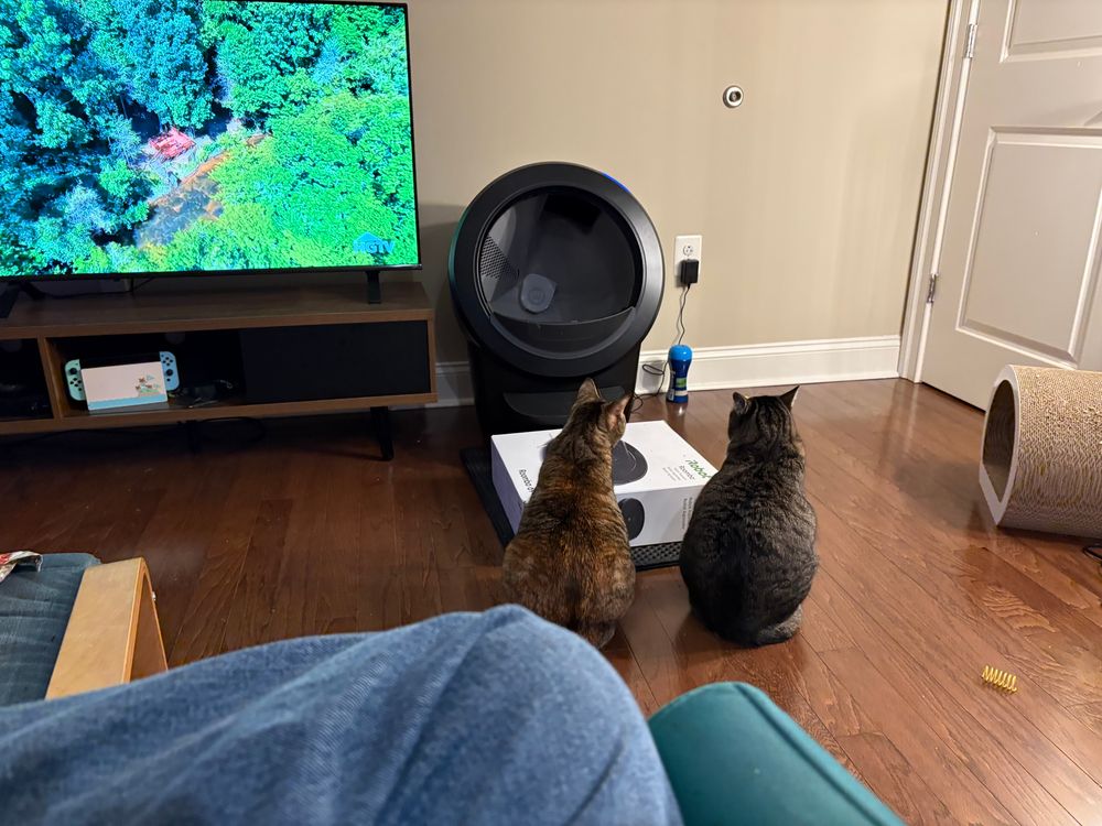 Human watching tv. Two cats watching a Litter Robot. 