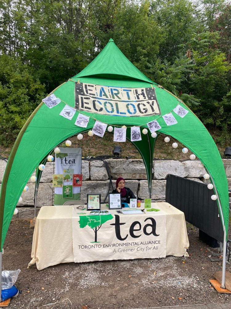 TEA Display is up!