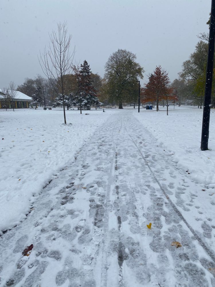 Snow covered pathway 