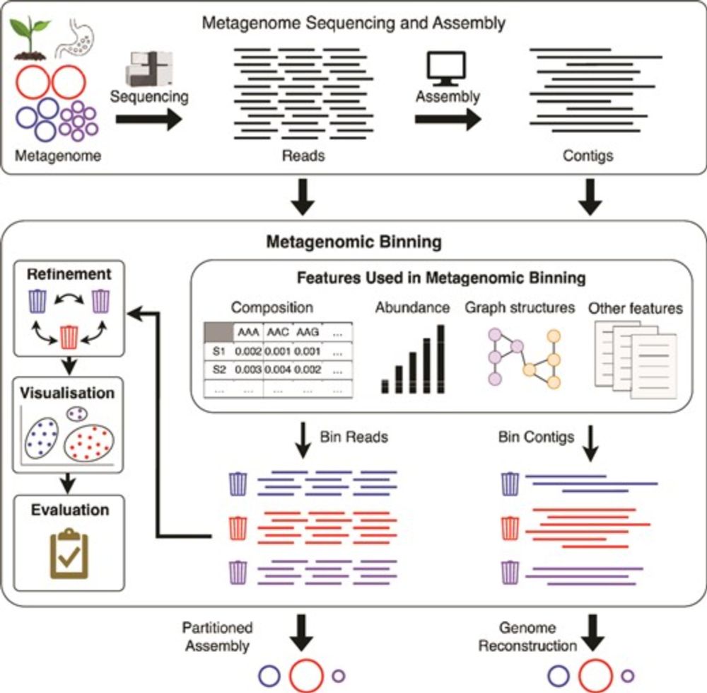 Solving genomic puzzles: computational methods for metagenomic binning