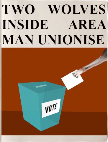 Headline: TWO WOLVES INSIDE AREA MAN UNIONISE 
Image: a wolf placing a vote in a ballot box