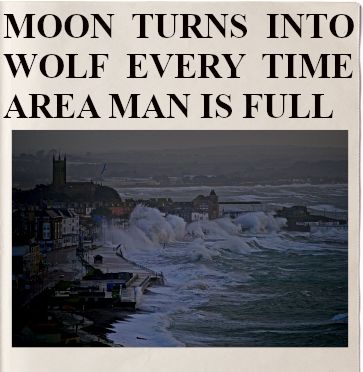 Headline: MOON TURNS INTO WOLF EVERY TIME AREA MAN IS FULL
Image: a storm wracked coastline.