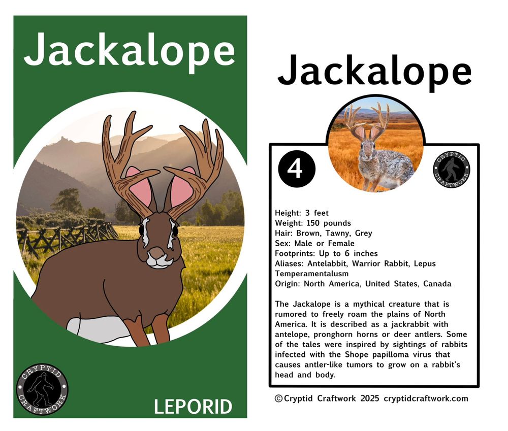 Jackalope mini figure card backer 