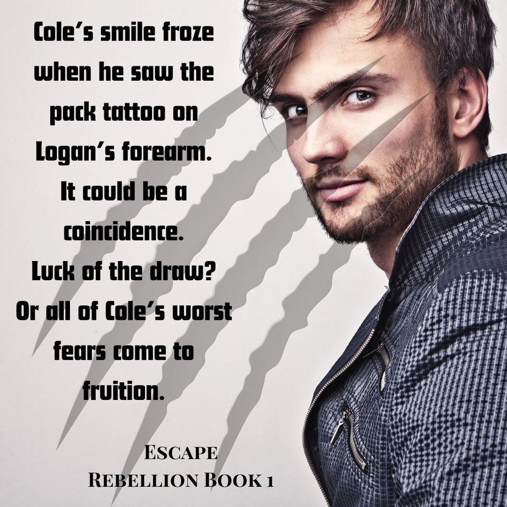 🔥𝗘𝘀𝗰𝗮𝗽𝗲 (𝗥𝗲𝗯𝗲𝗹𝗹𝗶𝗼𝗻 #𝟭)🔥

💜 Enemies to lovers
🧡 Shifters
💜 Action & suspense 

https://mybook.to/Escape_AJ

𝙏𝙝𝙞𝙨 𝙞𝙨𝙣’𝙩 𝙩𝙝𝙚 𝙡𝙞𝙛𝙚 𝘾𝙤𝙡𝙚 𝙙𝙧𝙚𝙖𝙢𝙩 𝙤𝙛, 𝙗𝙪𝙩 𝙬𝙝𝙖𝙩 𝙘𝙝𝙤𝙞𝙘𝙚 𝙙𝙤𝙚𝙨 𝙝𝙚 𝙝𝙖𝙫𝙚?

With his twenty-third birthday behind him, Cole Moreton now faces the shifter compatibility test which will decide his future. Testing positive means joining a pack and eventually taking the bite. Unfortunately, with enviable skills in self-defence and hand-to-hand combat, the kind of packs interested in him aren’t any he’d want to join.

Logan has been a member of the McKillan pack for most of his life. Pack is family and loyalty is everything, but when the shifter government turns out to be no better than the oppressive humans before them, he questions everything.

Right from their first meeting, Logan knows that a life with the McKillan pack isn’t right for Cole, but with his alpha taking a keen interest in Cole’s skills, Logan’s hands are tied. Mutual attraction builds between them, but acting on it is futile—helping Cole will put their lives at risk and an end to any future they could’ve had.


