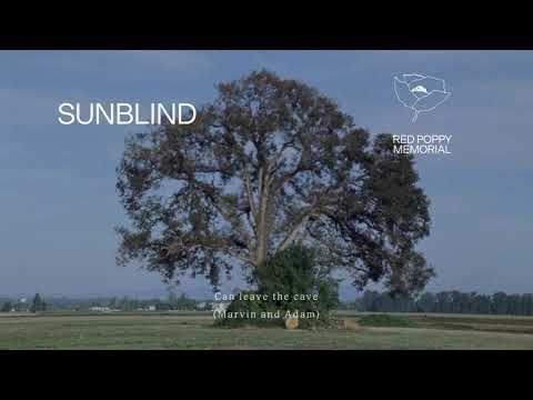 Fleet Foxes - "Sunblind" (Lyric Video)