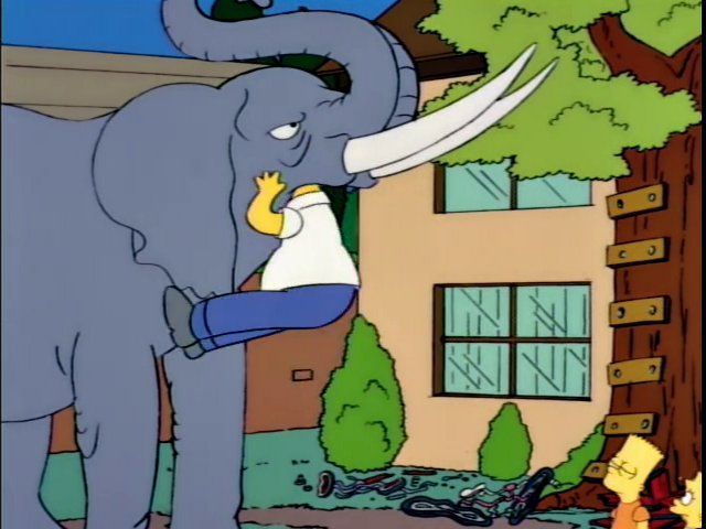 Season 5 / Episode 17