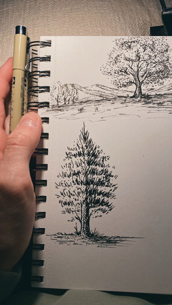 A hand drawn pine tree made of quick gestural lines and scribbles.  