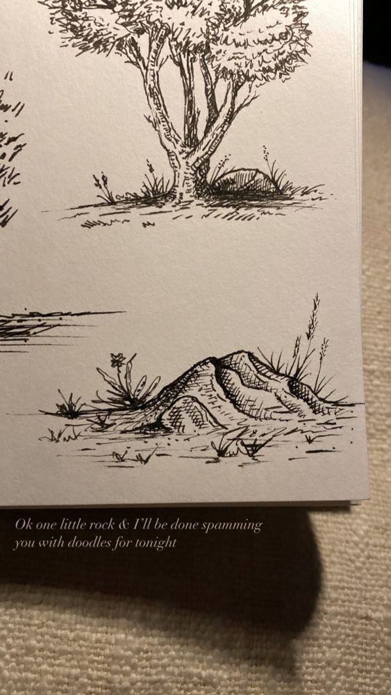 A hand drawing of a rock surrounded by grass and weeds. 