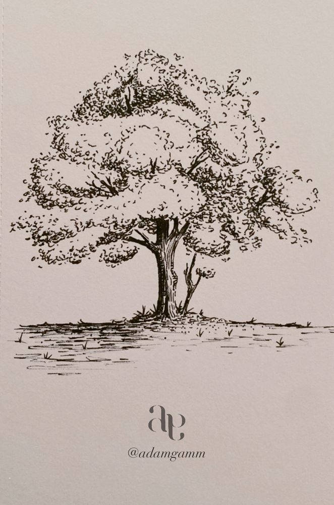 A hand-drawn black and white sketch of a deciduous tree signed at the bottom with the artist’s instagram handle @adamgamm. 