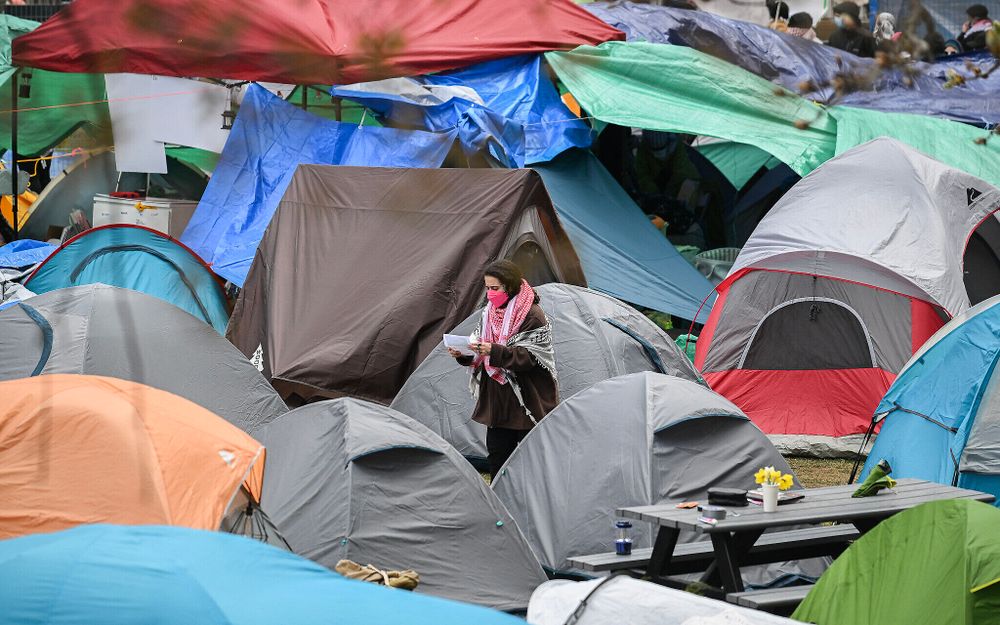 Montreal police clear out anti-Israel encampment at #McGillUniversity