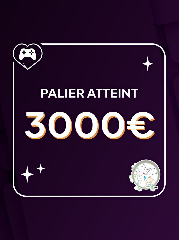 Logo chariteam (une manette dans un coeur)
Logo Anges de Noé ( petit ange ailé qui attrape des fleurs)
Palier atteint 3000€