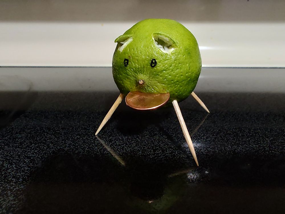 Pig made from a lime with toothpick legs. Kinda looks more like a cat. No tail. Shiny penny in mouth.