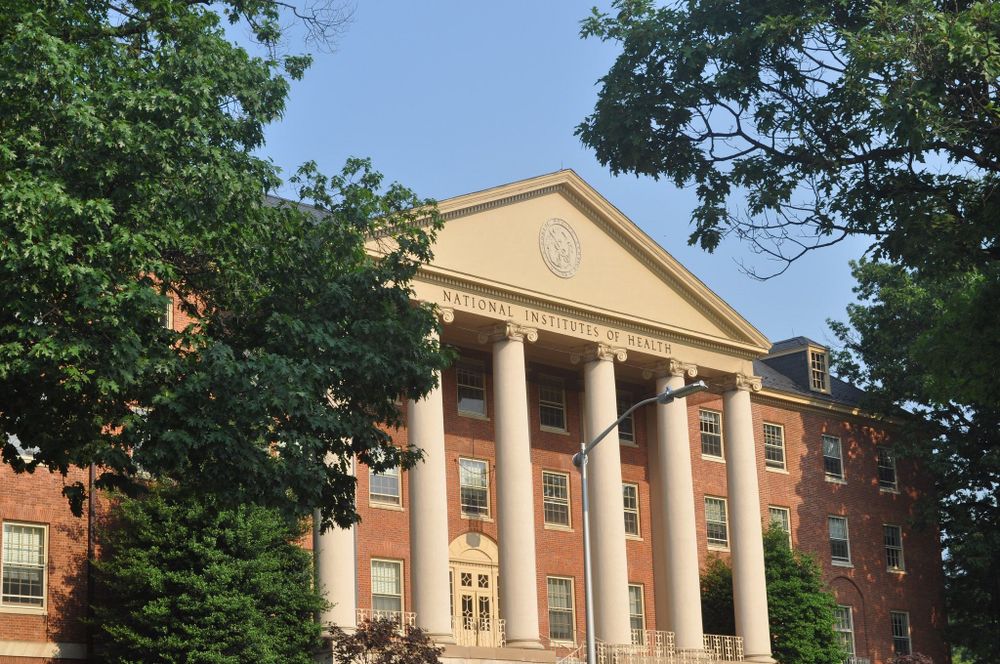 President Donald Trump’s freeze on $8 billion of congressionally appropriated funding to the National Institutes of Health was illegal, the Government Accountability Office reported Tuesday.