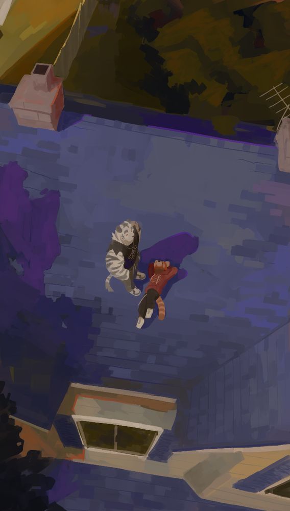 Liam and Tora relaxing on the roof of a house with a blue roof
