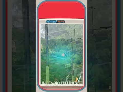 YouTube video by Jibarito News