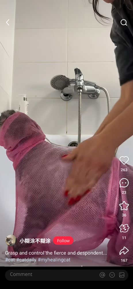 Cat in a delicates washing bag with a hole for it's head being washed by a human in the shower. 