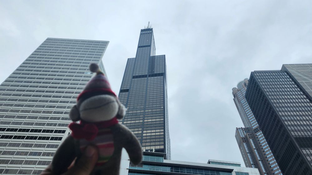 A stuffed monkey with the Chicago skyline in the background, highlighting the Willis Tower.