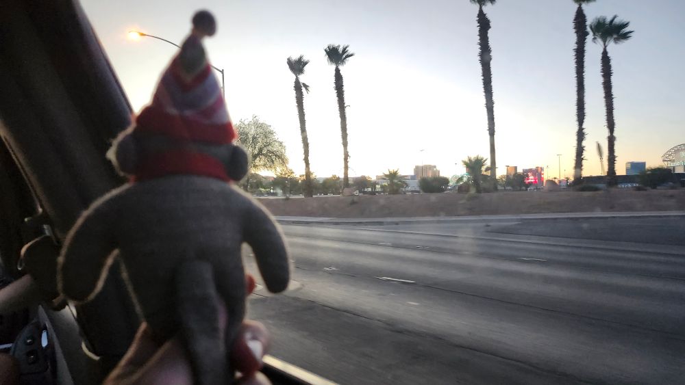 Stuffed monkey looking at palm trees and the Vegas Strip.